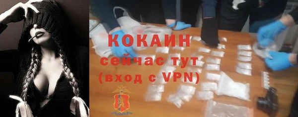 ПСИЛОЦИБИНОВЫЕ ГРИБЫ Баксан