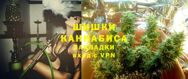 прущие грибы Белоозёрский