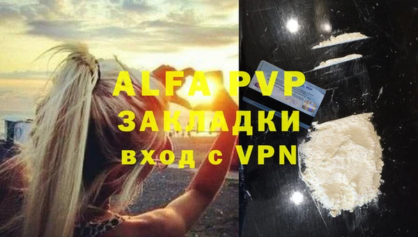 прущие грибы Белоозёрский