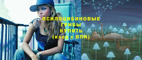 ECSTASY Белокуриха