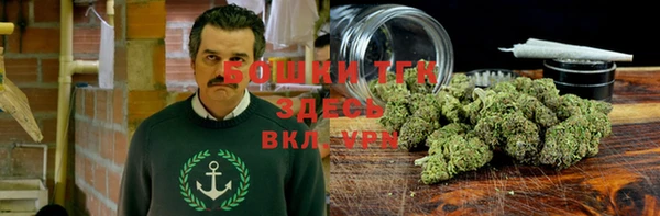 ECSTASY Белокуриха